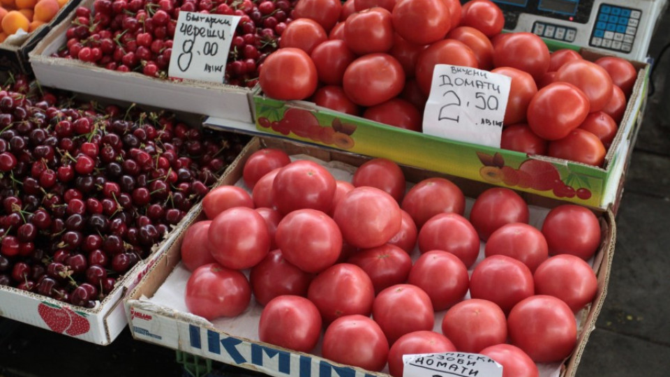 Гръцкият домат срива цената на родния | StandartNews.com