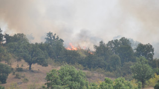 Пожарът в село Брягово на метри от къщите