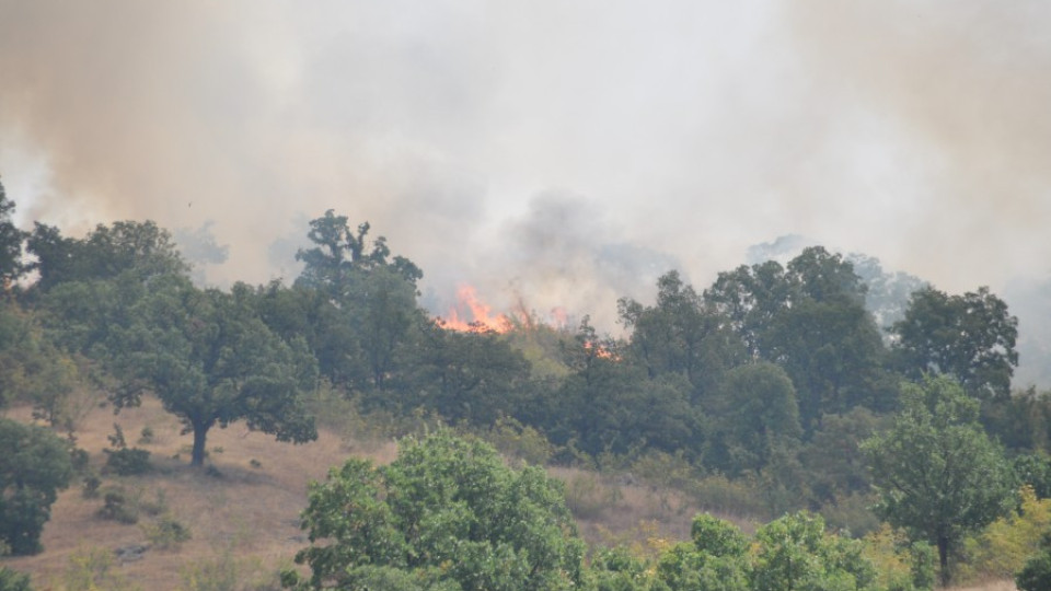 Пожарът в село Брягово на метри от къщите | StandartNews.com