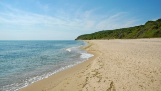 Седмицата на морето в Шкорпиловци с незабравими дни и нощи