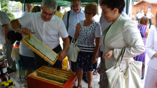 Министър Танева: Пчеларите ще получат компенсации по ПРСР