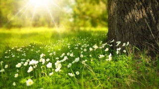 Слънчево и без валежи