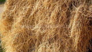 Изгоряха 150 бали сено в Чернооченско