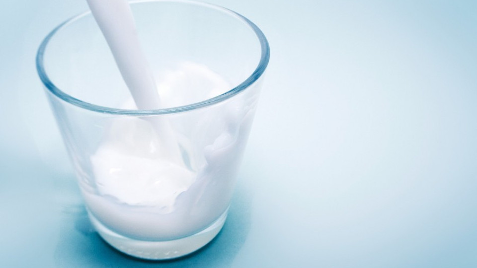 ЕК отказа компенсациите за млечния сектор  | StandartNews.com