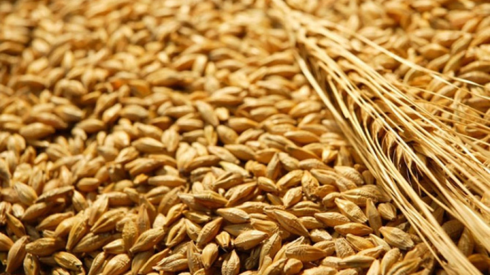 Турия търси  наша пшеница | StandartNews.com