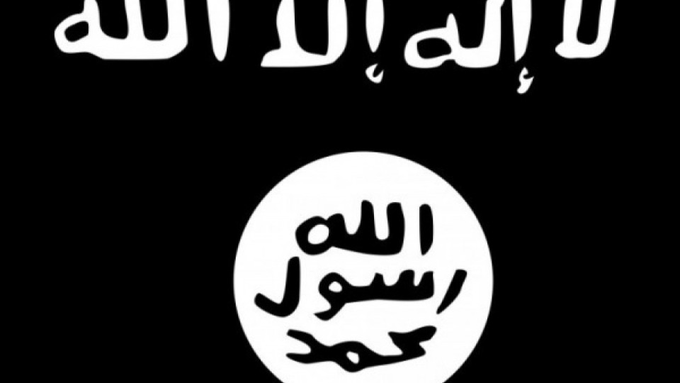 САЩ и Анкара започват битка с джихадистите | StandartNews.com