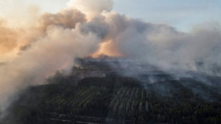Пожар в района на Чернобил, огънят е овладян