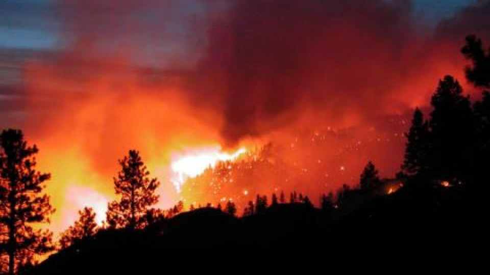 Нашите пожарникари гасят по повече от 200 пожара на денонощие | StandartNews.com