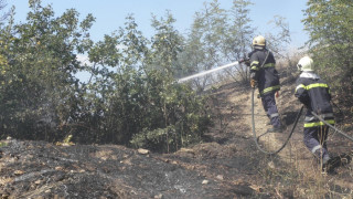 Пиян запали лозята на цял квартал