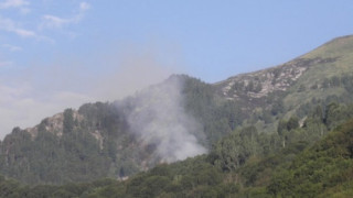 Костов: Над 11 000 дка гори са изгорели 