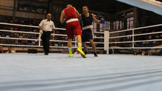 Тервел Пулев на 1/4-финалите на Европейското по бокс 