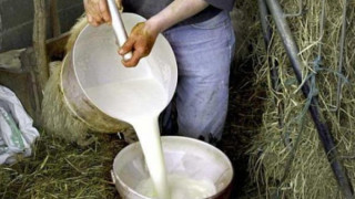 Млекопроизводителите протестират срещу Брюксел