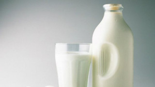 Млекари фалират заради ниски цени 