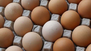Българските яйца желани и в гръцките курорти, и в Швеция