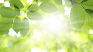 Слънце с краткотрайни валежи