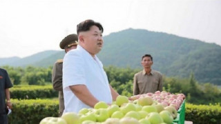 Северна и Южна Корея се стрелят на границата