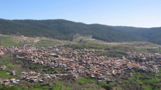 Селяни живеят в гората, берат билки и гъби