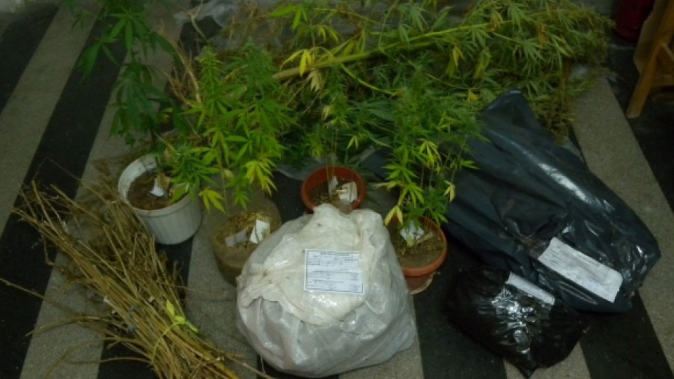 3 кг дрога  открита в крумовградскоto село Черничево  | StandartNews.com
