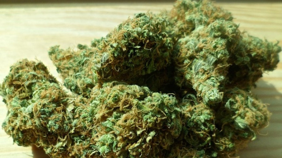 Британeц от Ардинско на съд за притежание на марихуана | StandartNews.com