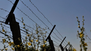 Задържаните чужденци край Гюшево остават в ареста