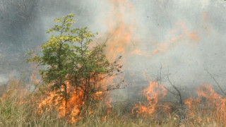 Горски пожар над село Фролош