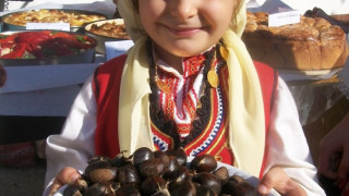 Кестени водят чужденци в Брежани