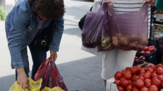 На пазара само 5% от доматите са био