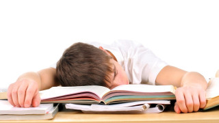 Как будят спящ ученик в Холандия (ВИДЕО)