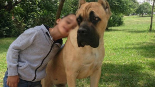 Убиха с 8 куршума домашно куче в Студентски град