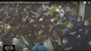 В Унгария: Храна за бежанци като за животни (ВИДЕО)