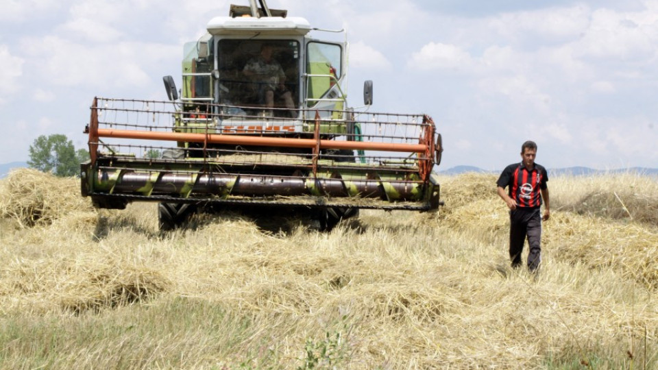 Юанът и рублата сринаха цената на пшеницата | StandartNews.com