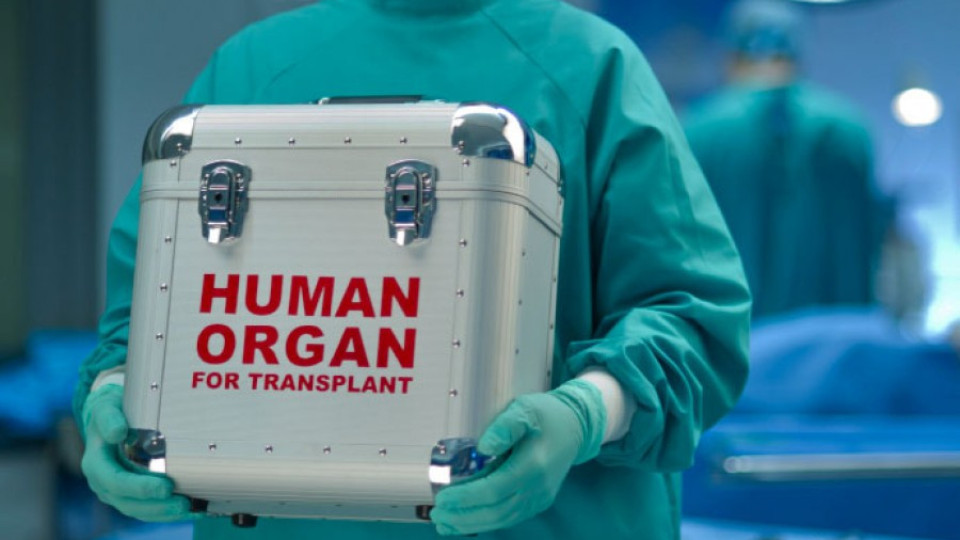 ИД си направи клиника за търговия с човешки органи | StandartNews.com
