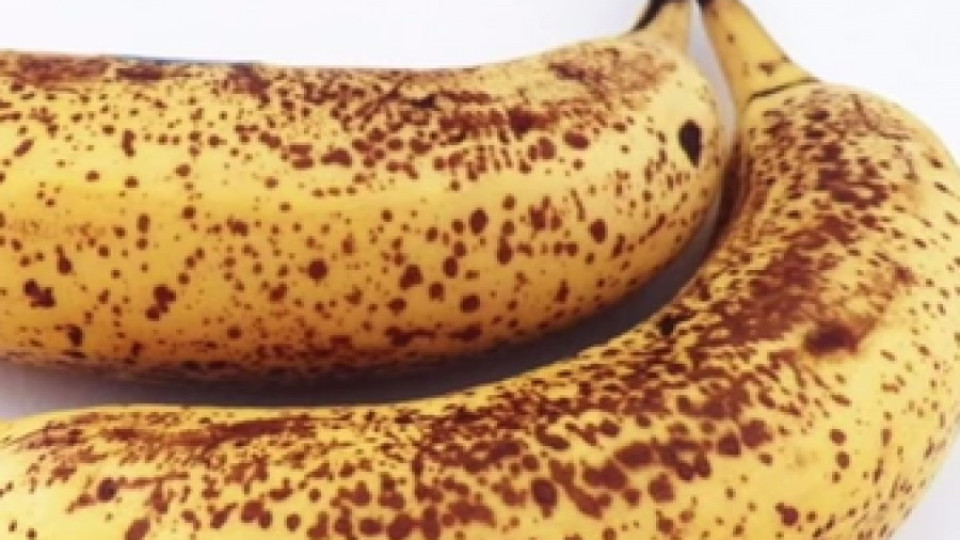 Бананите с кафяви петна са антиканцерогенни | StandartNews.com