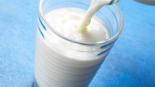 Увеличават консумацията на мляко в училищата