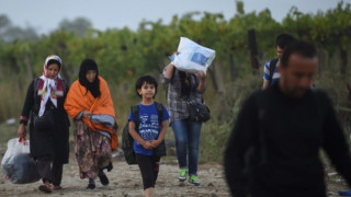 Половин милион бежанци са влезли в Европа за 8 месеца