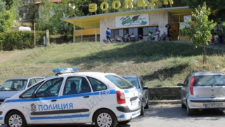 С месо и "вход свободен" примамват вълчицата беглец