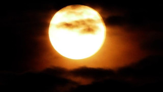 Лунно зрелище беляза нощта (ВИДЕО)