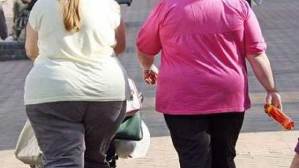 Малтийците са най-дебели в Европа | StandartNews.com