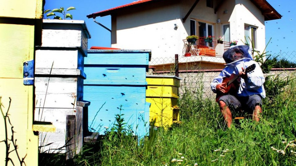Първо училище за пчелари у нас, безплатно е | StandartNews.com
