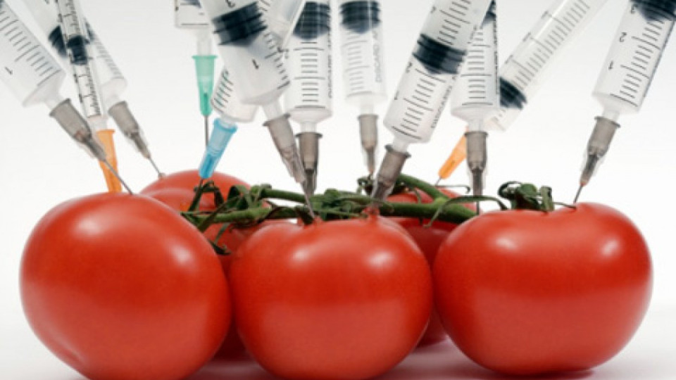 Последно: Без ГМО у нас | StandartNews.com