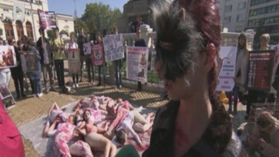 Протест пред парламента в защита на животните от насилие | StandartNews.com