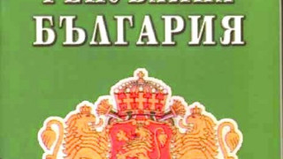 Търсят дискриминация в конституционните промени