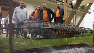 Хванаха чудовищен сом във Видин