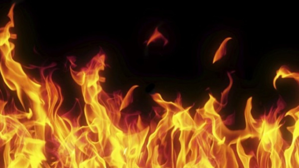8-годишен причини горския пожар в Кърджалийско  | StandartNews.com