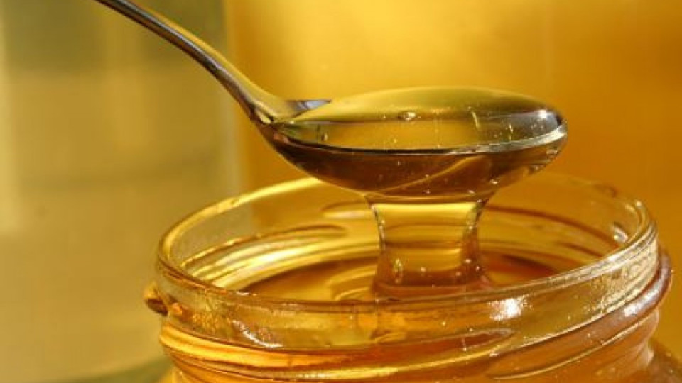 Поляци инвестират в завод за пчелен мед | StandartNews.com