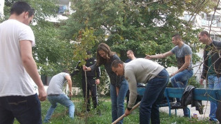 Димитър Дилчев: Засадихме 448 нови дървета в Студентски град