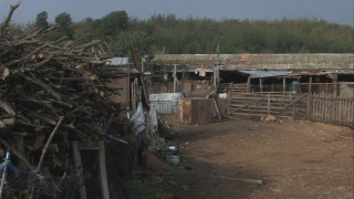 Овчарят тото милионер захвърли гегата