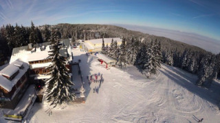 Снегът покри гъбите 