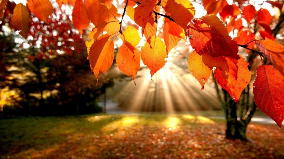 Октомврийско слънце в цялата страна | StandartNews.com