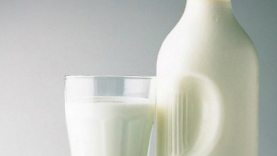 Кравите ни дават 70% по-малко мляко | StandartNews.com